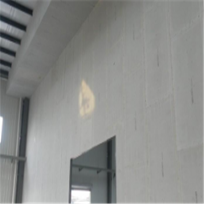 龙泉宁波ALC板|EPS加气板隔墙与混凝土整浇联接的实验研讨